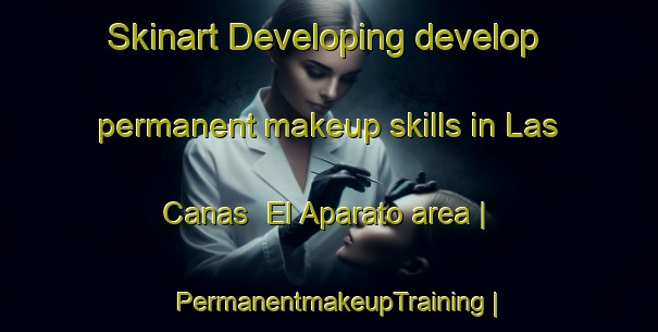Skinart Developing develop permanent makeup skills in Las Canas  El Aparato area | PermanentmakeupTraining | PermanentmakeupClasses | SkinartTraining-Mexico